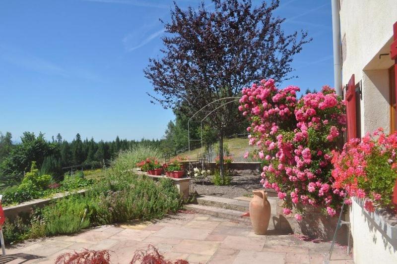 Bed and Breakfast La Belle Chambre dans une ferme avec etang privé dans la région des Mille Etangs Faucogney-et-La-Mer à Ecromagny Extérieur photo